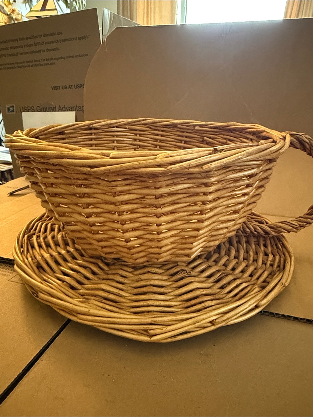 Woven Rattan Decorative Basket and Tray - Natural Brown - 12” x 5”